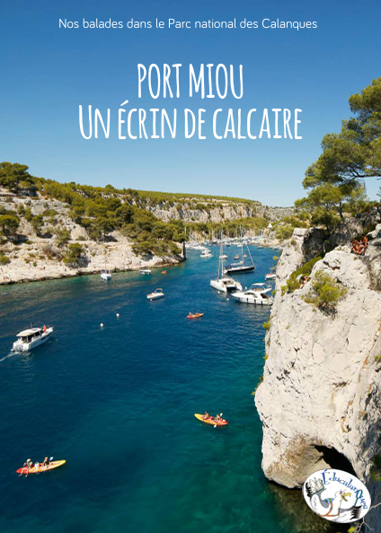 Port Miou - les balades dans les calanques